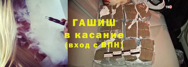 стаф Абинск