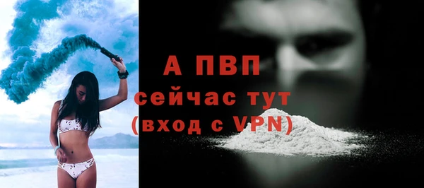 стаф Абинск