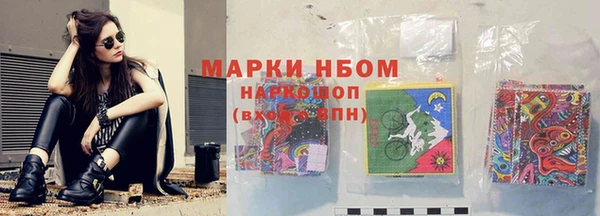 стаф Абинск