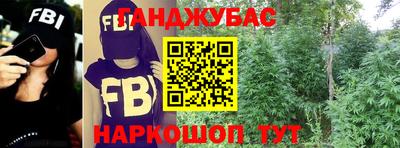 гидра Краснокаменск
