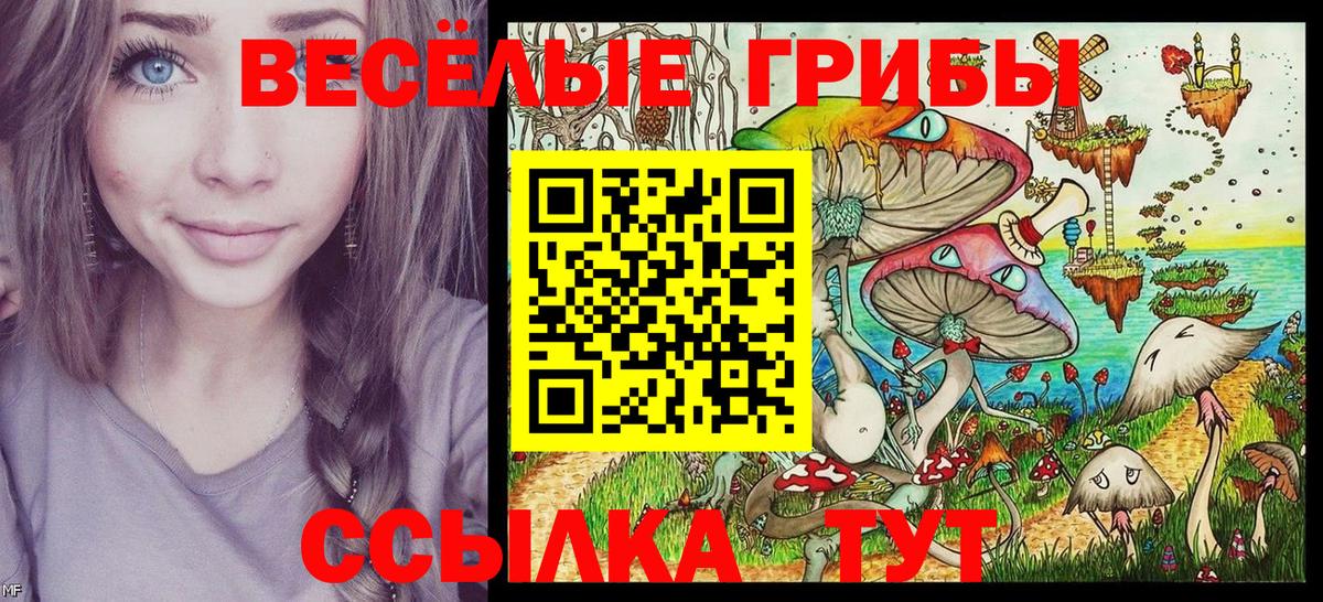 Псилоцибиновые грибы MAGIC MUSHROOMS Ишимбай